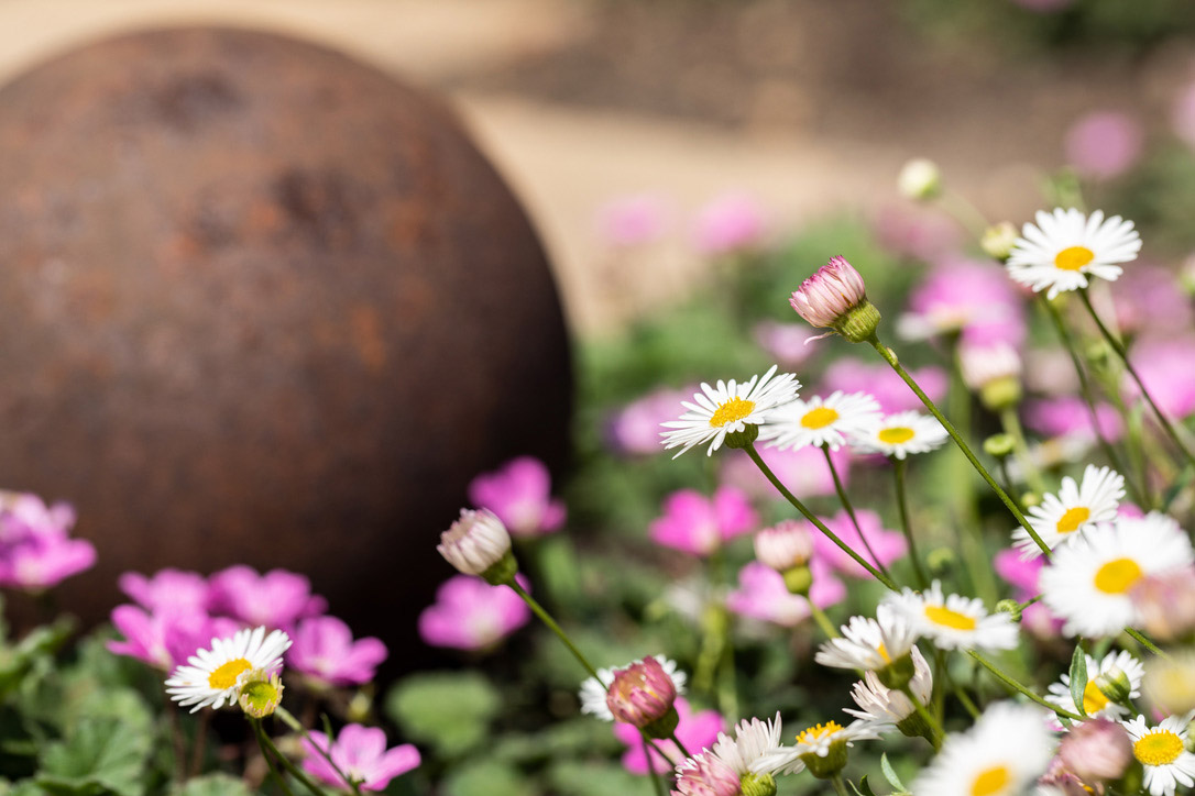 Vorgarten eines Altbremer Hauses